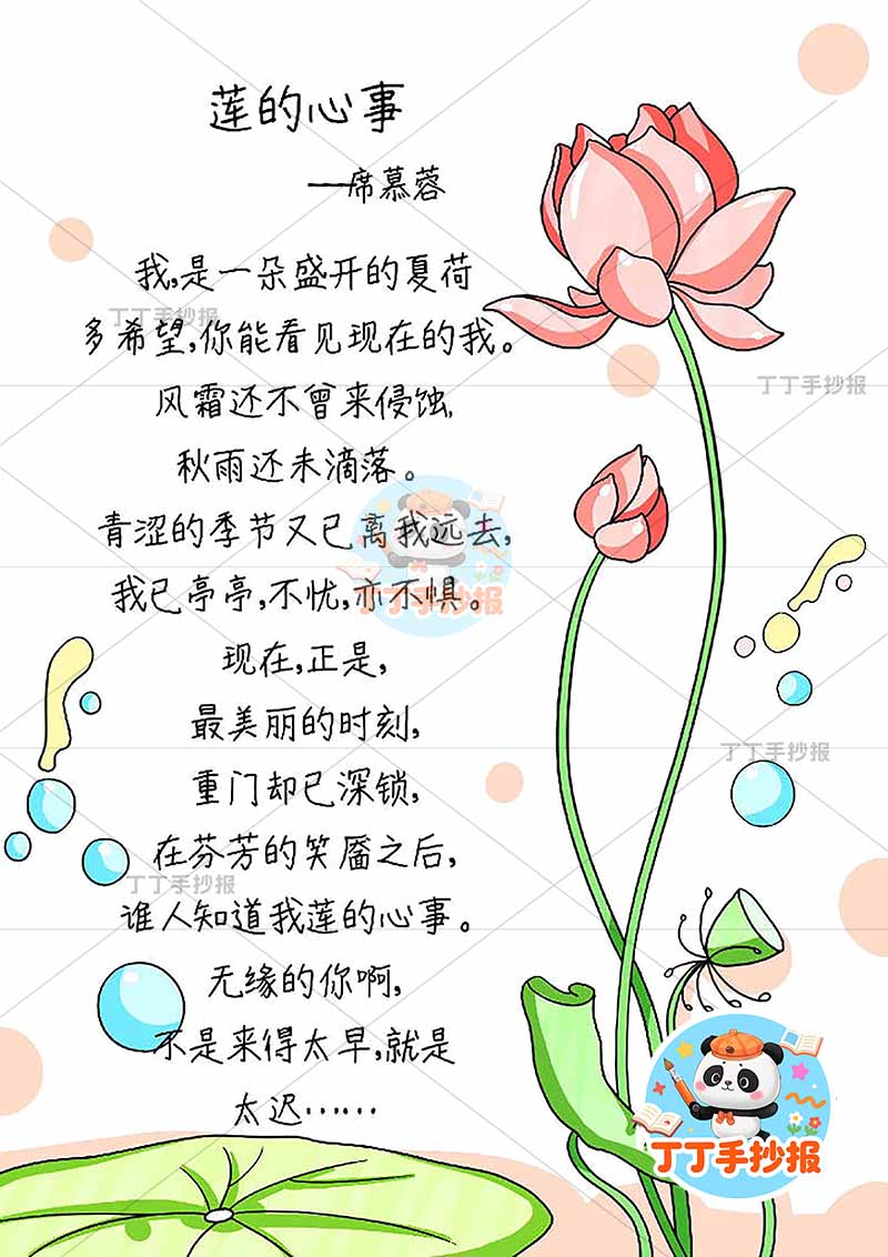 现代诗莲的心事竖版手抄报右侧莲
