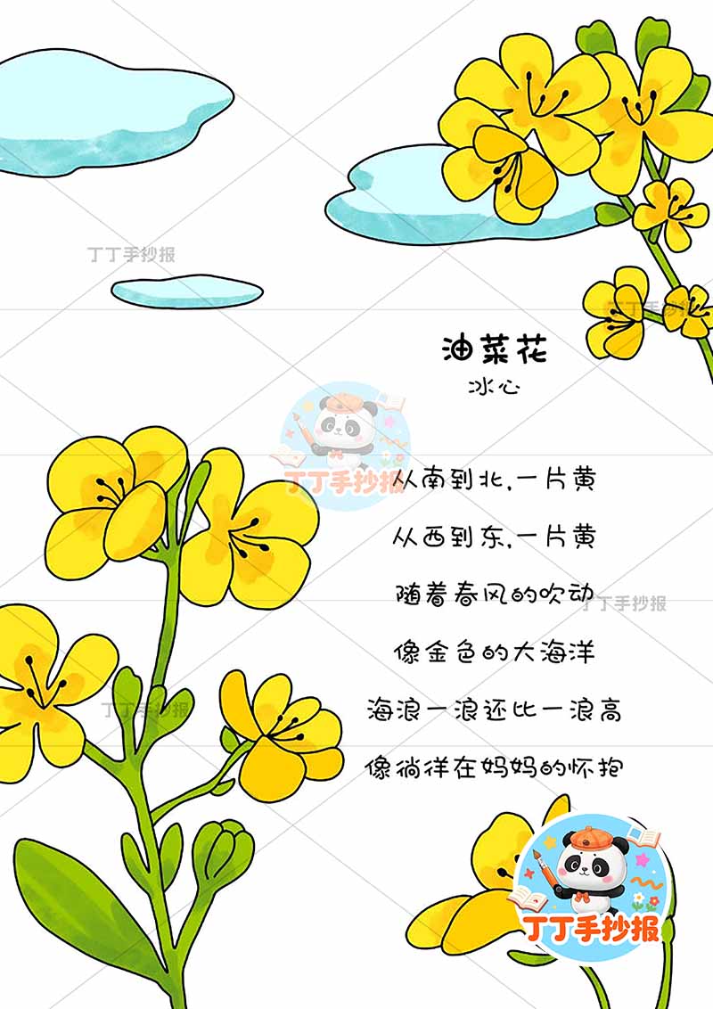 现代诗油菜花竖版手抄报冰心花和云朵