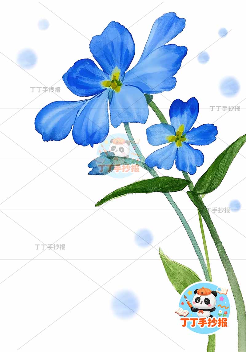 现代诗小蓝花竖版手抄报艾青右花