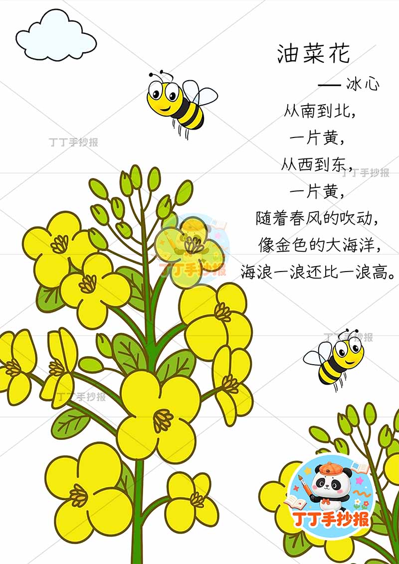 现代诗油菜花竖版手抄报冰心花和蜜蜂