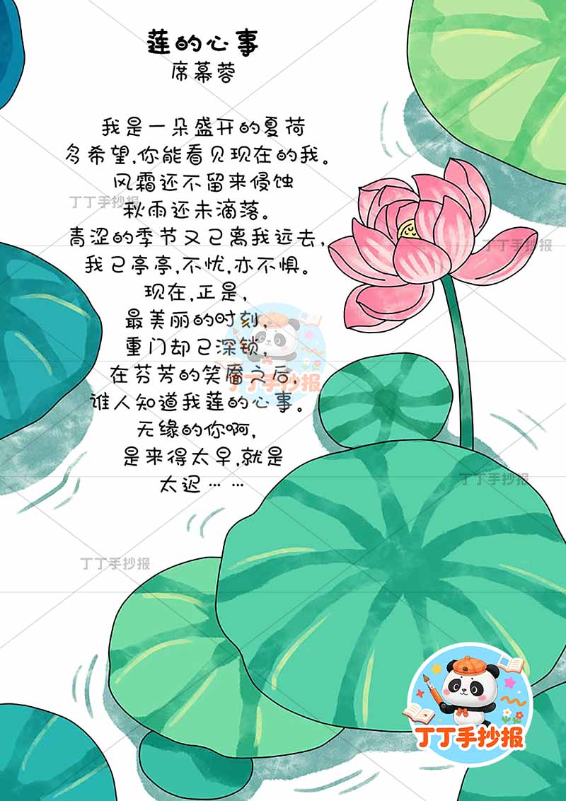 现代诗莲的心事竖版手抄报右下荷花荷叶