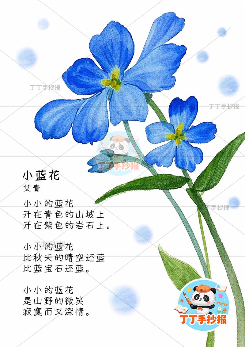 现代诗小蓝花竖版手抄报艾青右花