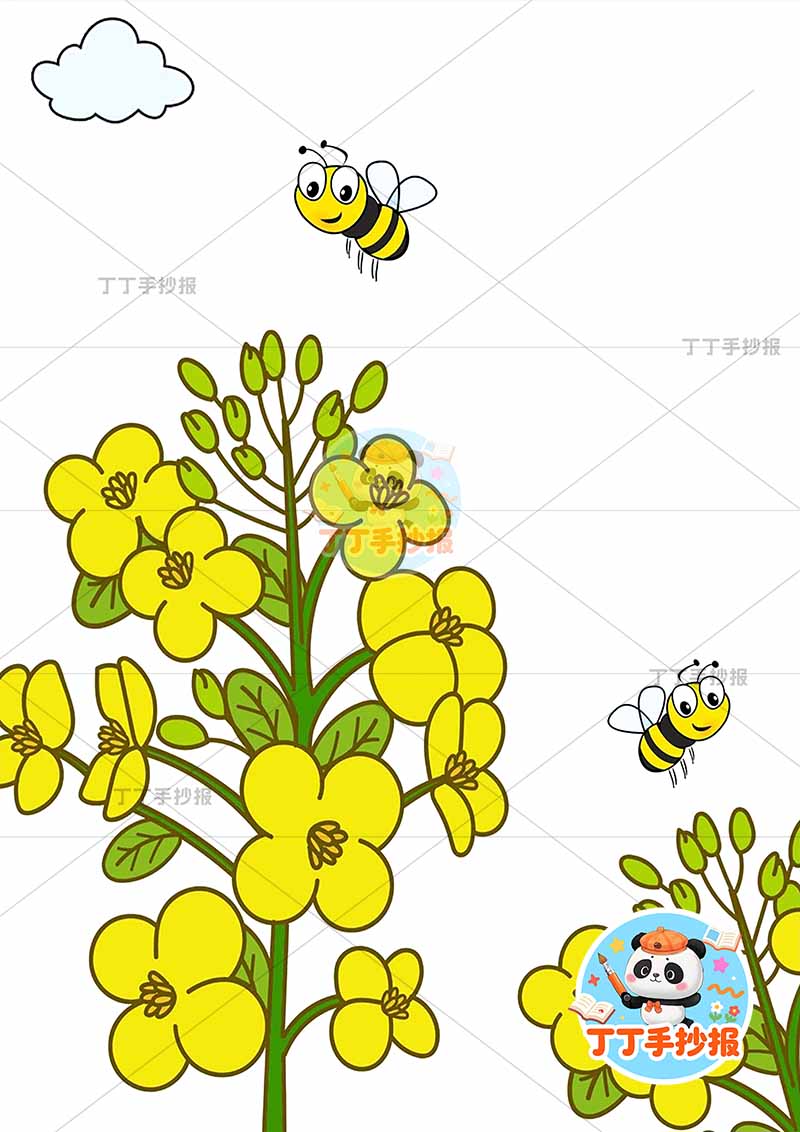 现代诗油菜花竖版手抄报冰心花和蜜蜂