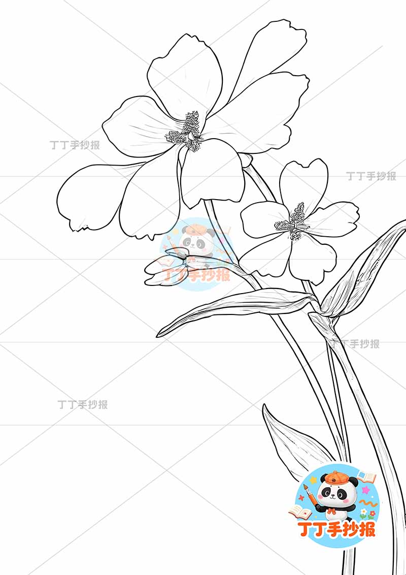 现代诗小蓝花竖版手抄报艾青右花