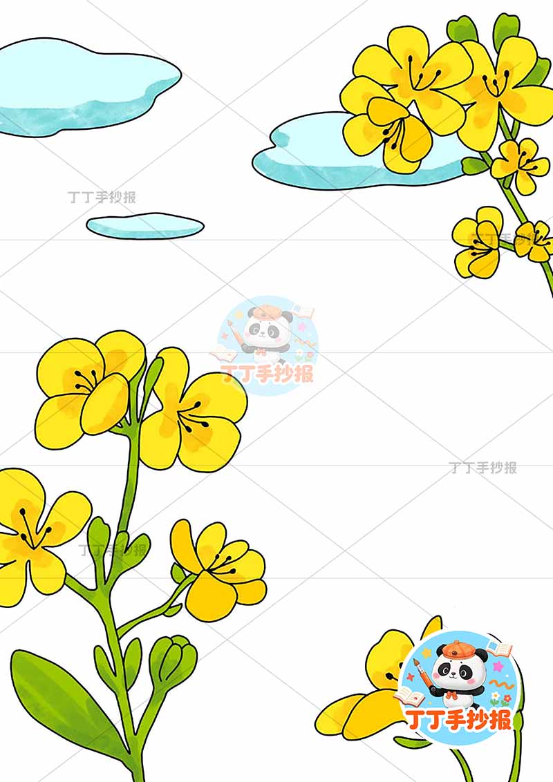 现代诗油菜花竖版手抄报冰心花和云朵