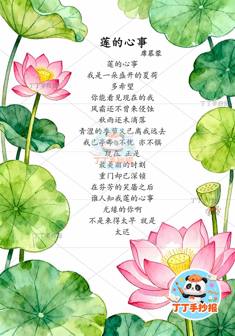 现代诗莲的心事竖版手抄报底部莲花2