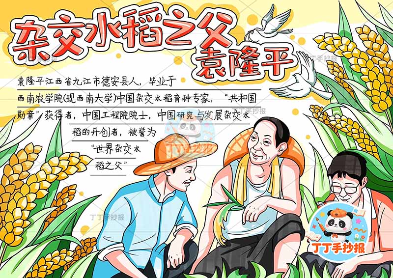 杂交水稻之父袁隆平手抄报底部三人杰出人物