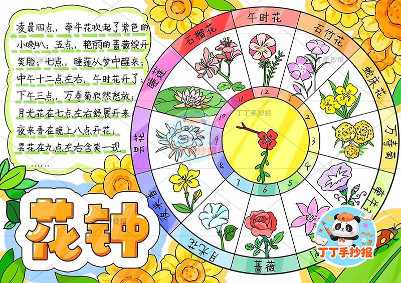 花钟手抄报右侧花盘大