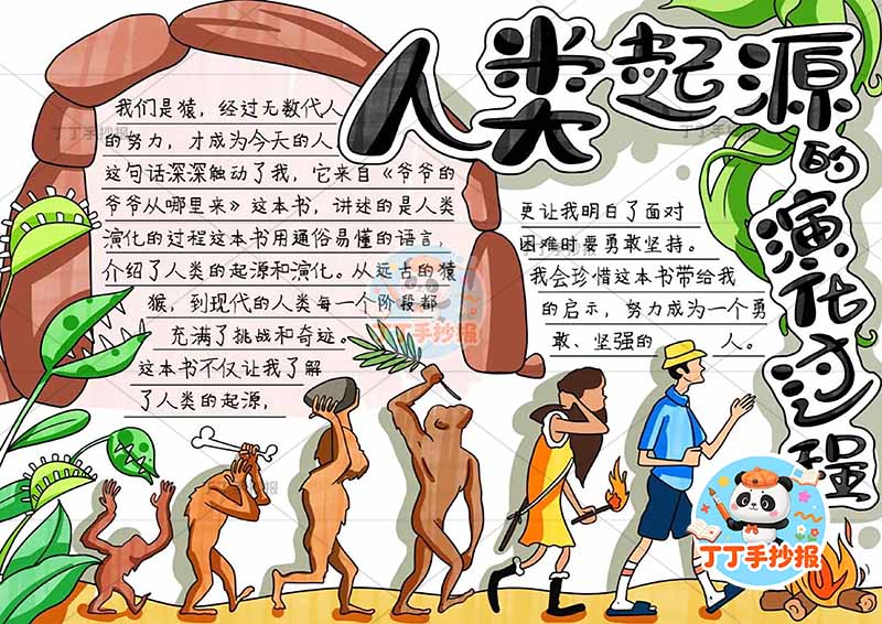 人类起源的演化过程手抄报多人底部