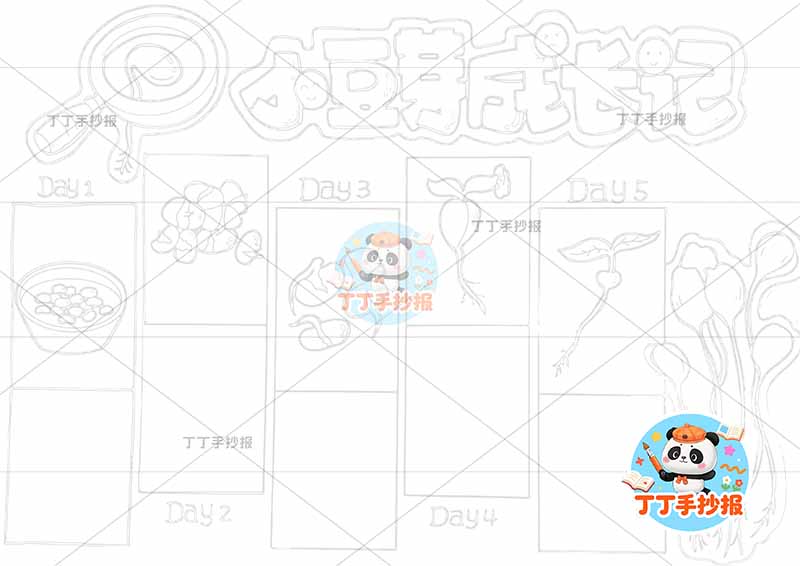 豆芽成长记手抄报豆芽生长记录可爱自然笔记
